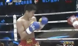 武林风现场直播91集,巅峰对决，热血沸腾的武术传奇